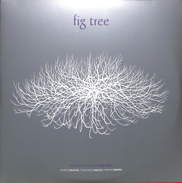 Przemysław Strączek - Fig Tree 2LP EU NEW